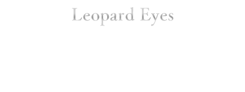Leopard Eyes / TRIGGER
